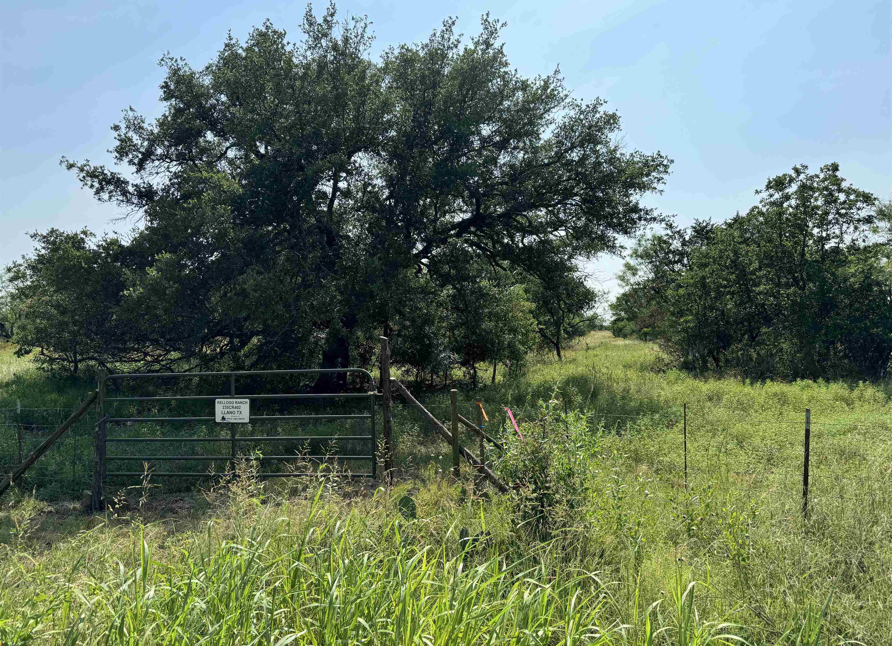 photo 1: 235 County Road 402, Llano TX 78643