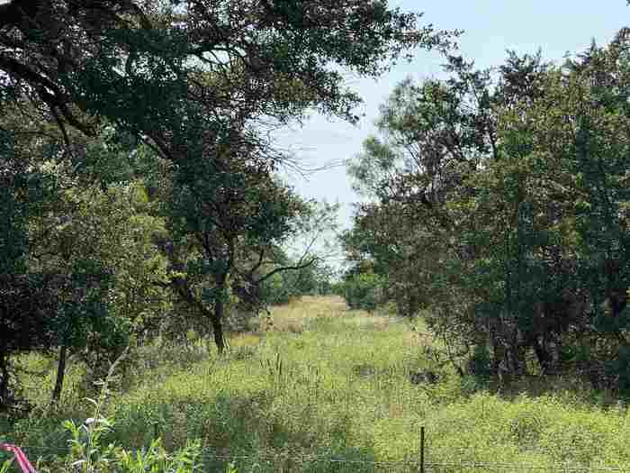 photo 2: 235 County Road 402, Llano TX 78643