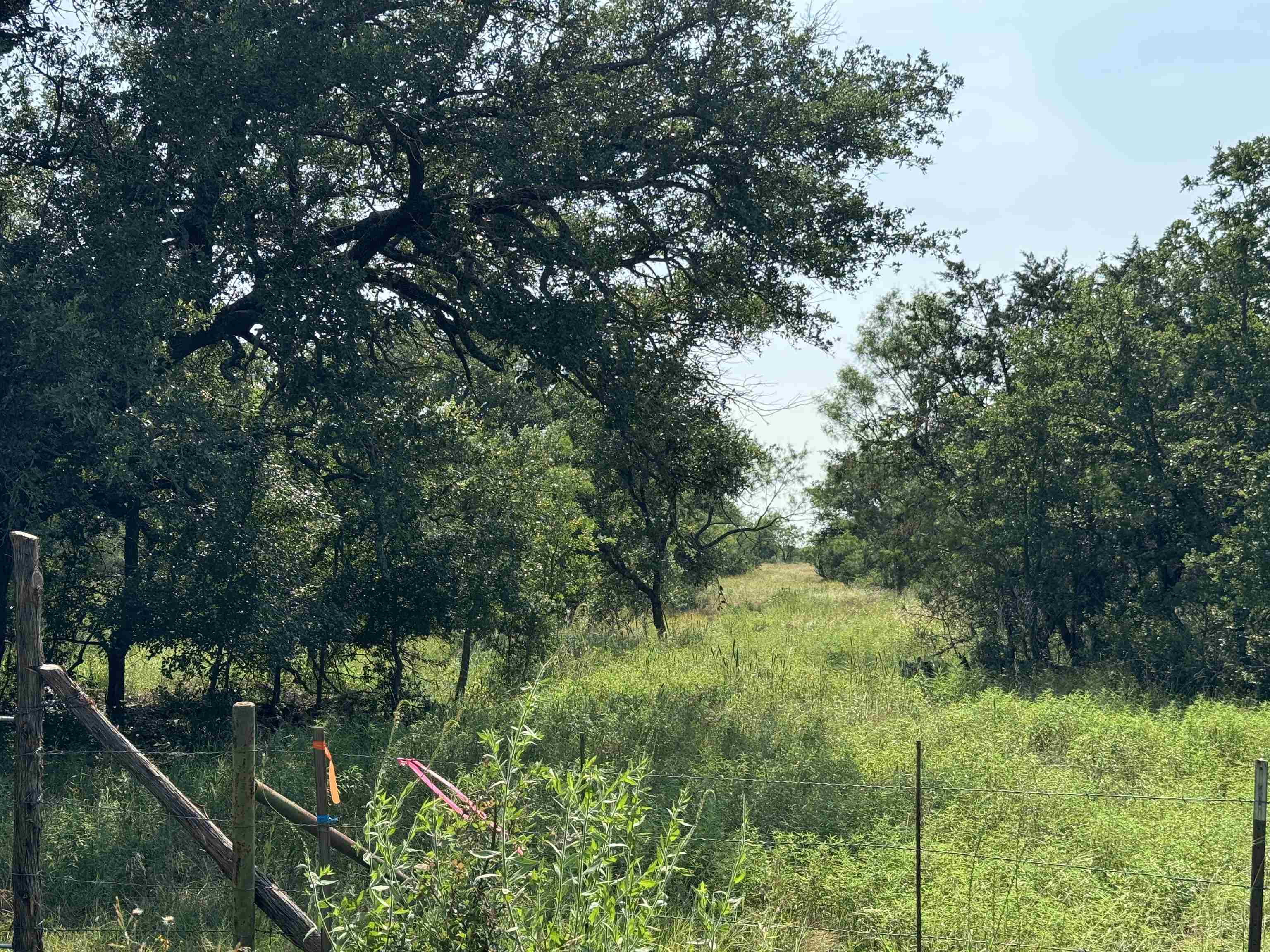 photo 3: 235 County Road 402, Llano TX 78643