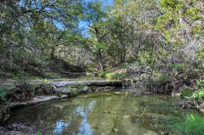 photo 2: 8709 County Road 216A, Llano TX 78643