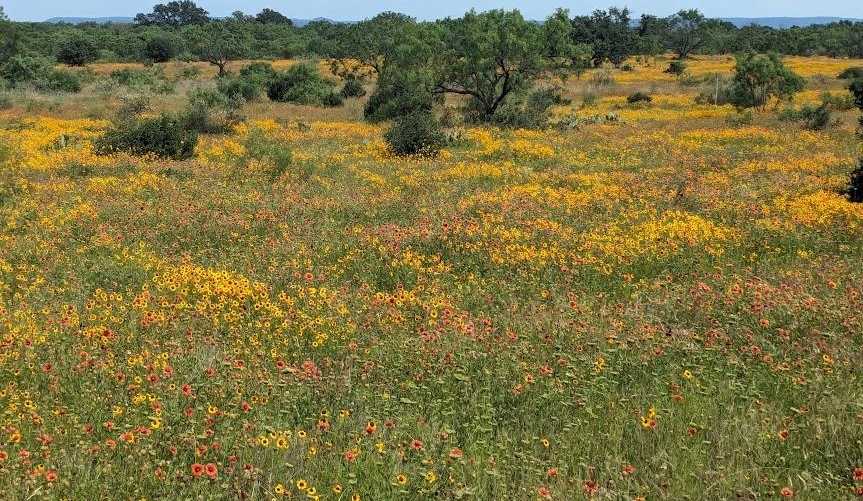 photo 3: 4928 W Hwy 71, Llano TX undefined