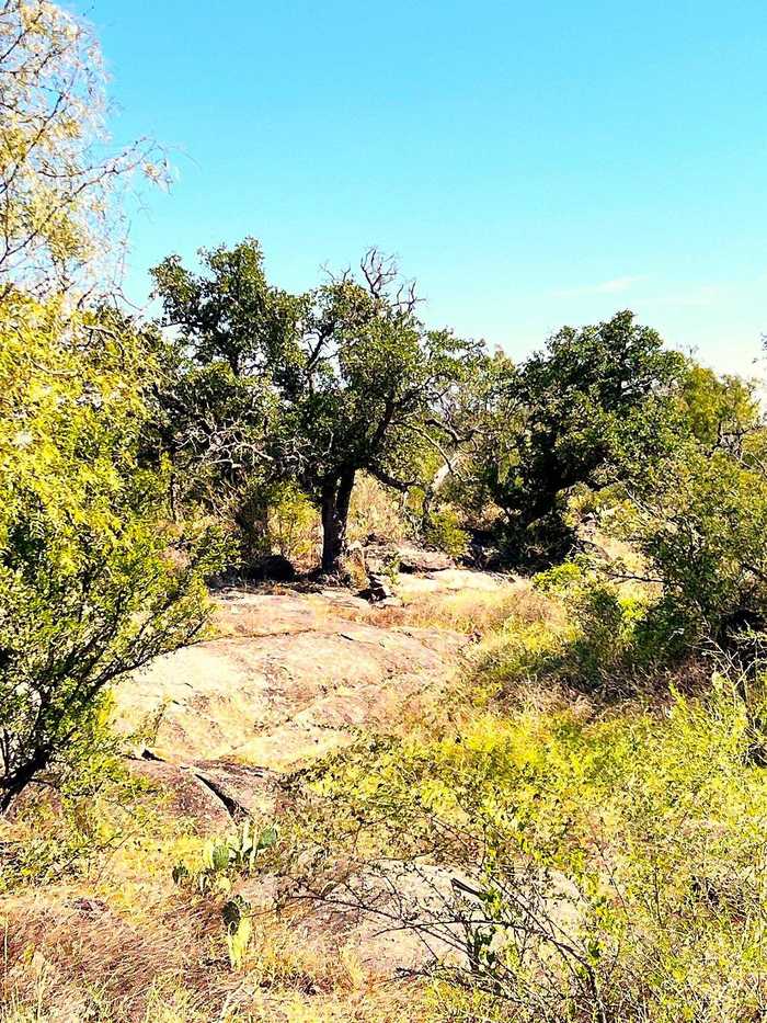 photo 17: 209 S River Park Drive, Llano TX 78643