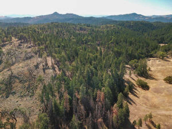 photo 1: +/-80acre Bluff Creek Road, Out of County CA 99999