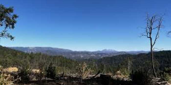 photo 2: +/-80acre Bluff Creek Road, Out of County CA 99999