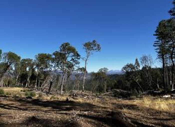 photo 24: +/-80acre Bluff Creek Road, Out of County CA 99999