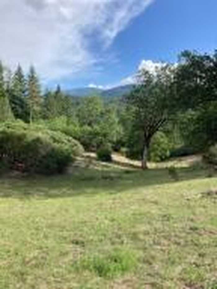 photo 1: 395 East Van Duzen Road, Mad River CA 95552