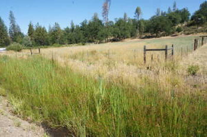 photo 1: 7821/7841 7851 St Hwy 3 Way, Hayfork CA 96041