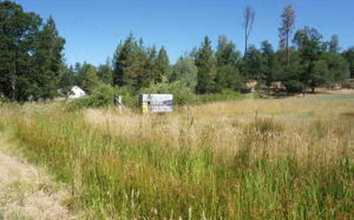 photo 2: 7821/7841 7851 St Hwy 3 Way, Hayfork CA 96041