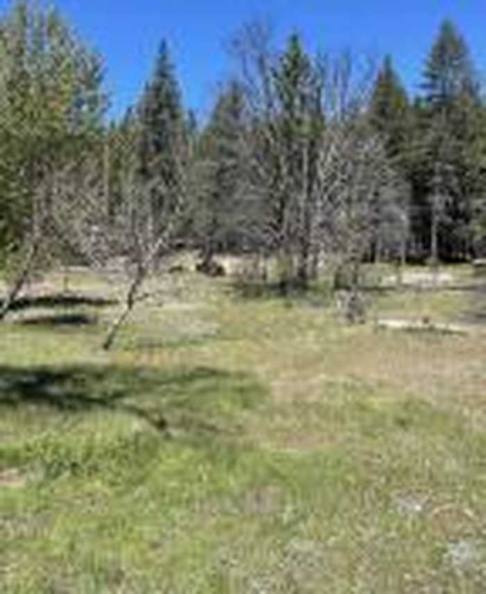 photo 1: 300 Cedar Gap Road, Ruth Lake CA 95526