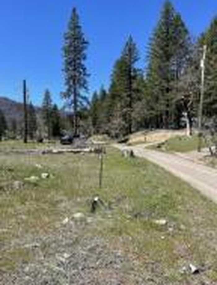 photo 2: 300 Cedar Gap Road, Ruth Lake CA 95526