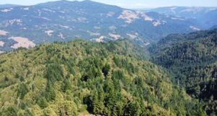 photo 1: 360 Acres Thorpe Lane, Kneeland CA 95549