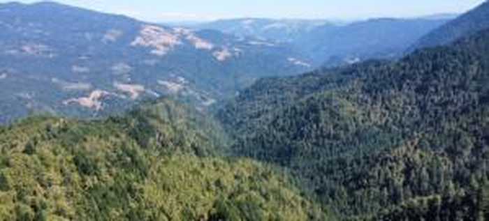 photo 16: 360 Acres Thorpe Lane, Kneeland CA 95549