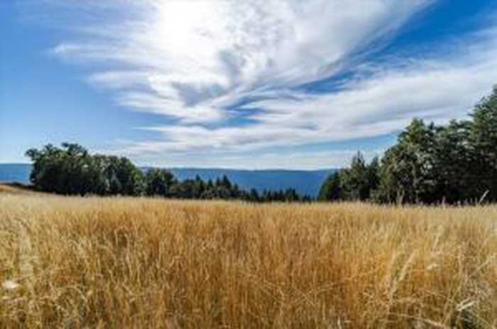 photo 1: 2660 Titlow Hill Road, Blue Lake CA 95525