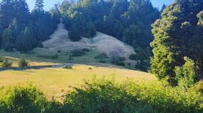 photo 1: 20 Connic Creek Road, Garberville CA 95542