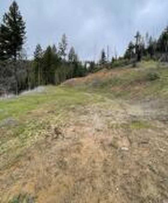 photo 2: 6101 & 250 Mad River & Horseridge Lookout Road, Mad River CA 95552