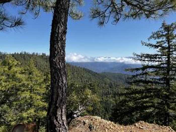 photo 1: +/-78acre New Three Creek Road, Willow Creek CA 95573