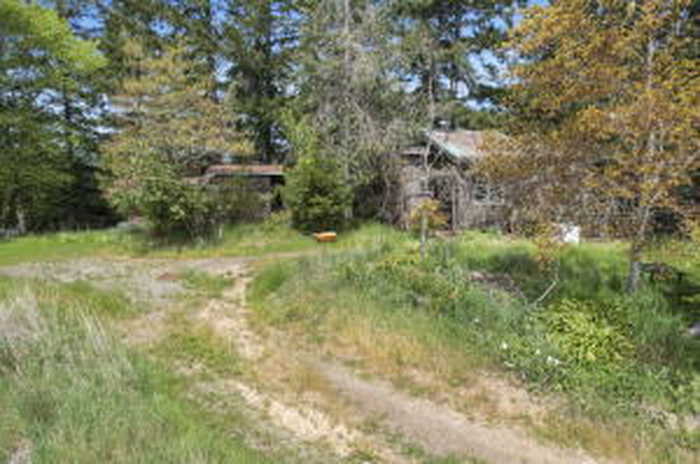 photo 158: 3939 Blue Slide Creek Road, Redway CA 95560