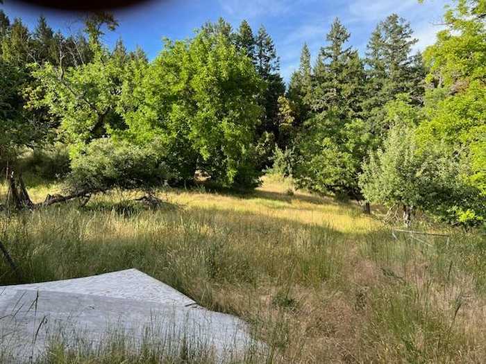 photo 18: 123 Cider Lane, Ettersburg CA 95542