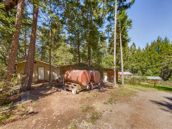 photo 29: 1700 Buck Mountain Road, Bridgeville CA 95526