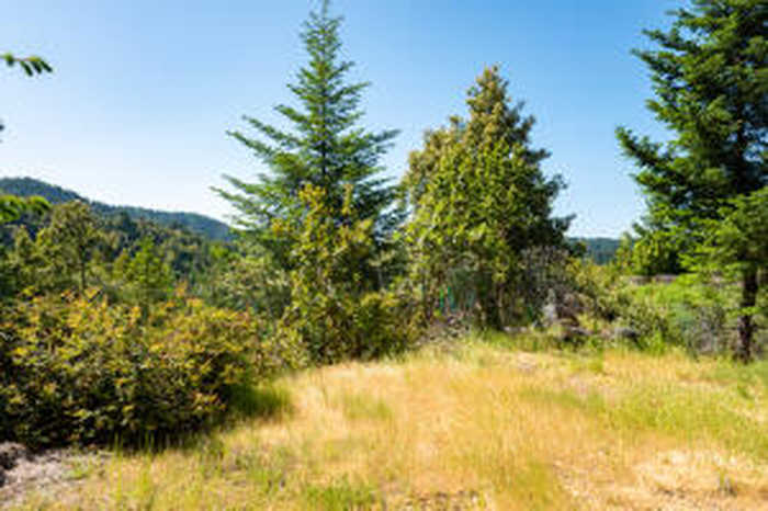 photo 1: 9225 Wilder Ridge Road, Ettersburg CA 95542