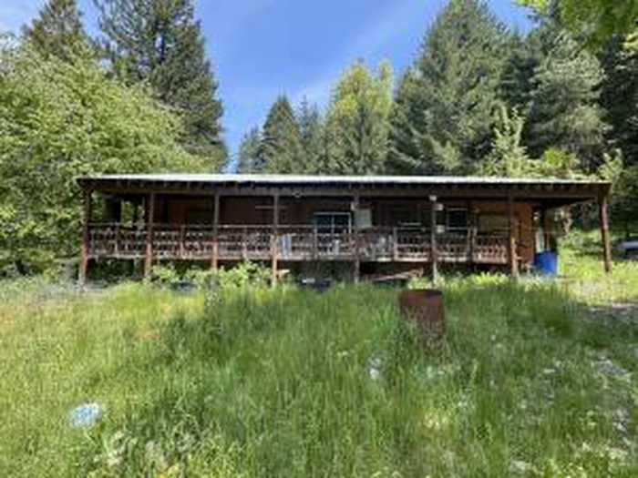 photo 2: 12575 Buck Mountain Road, Bridgeville CA 95526