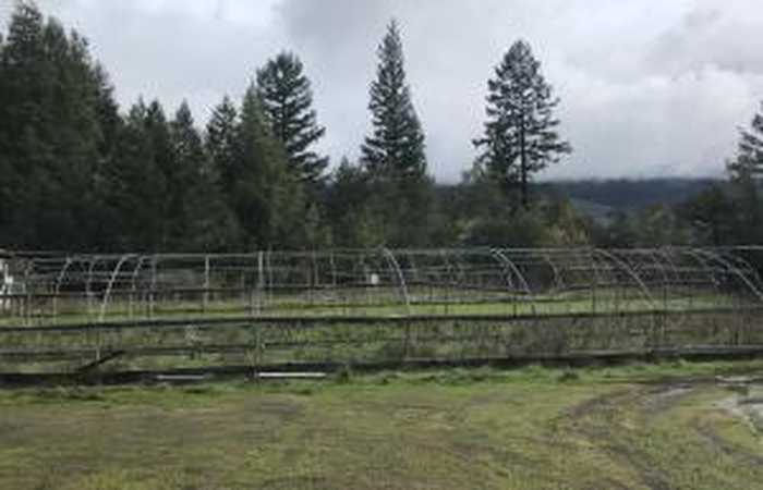 photo 2: 400 E Ashfield Buttes Rd Road, Kneeland CA 95549