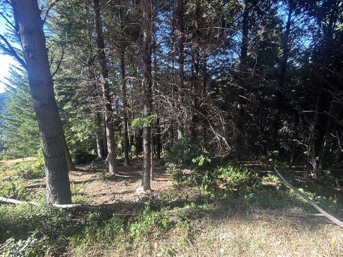 photo 2: 323 Parsons Road, Shelter Cove CA 95589