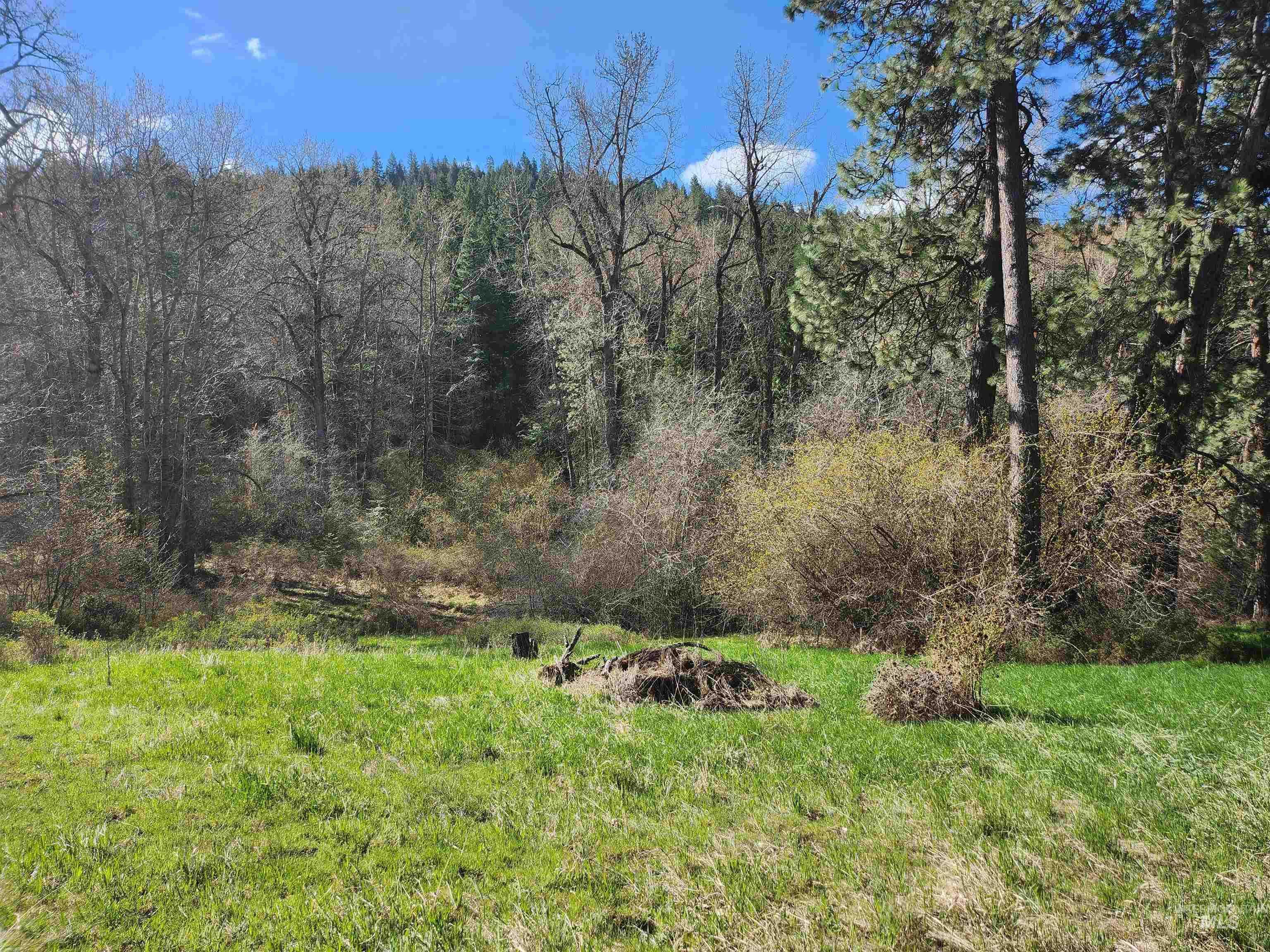 photo 3: TBD Four Mile Rd., Viola ID 83872