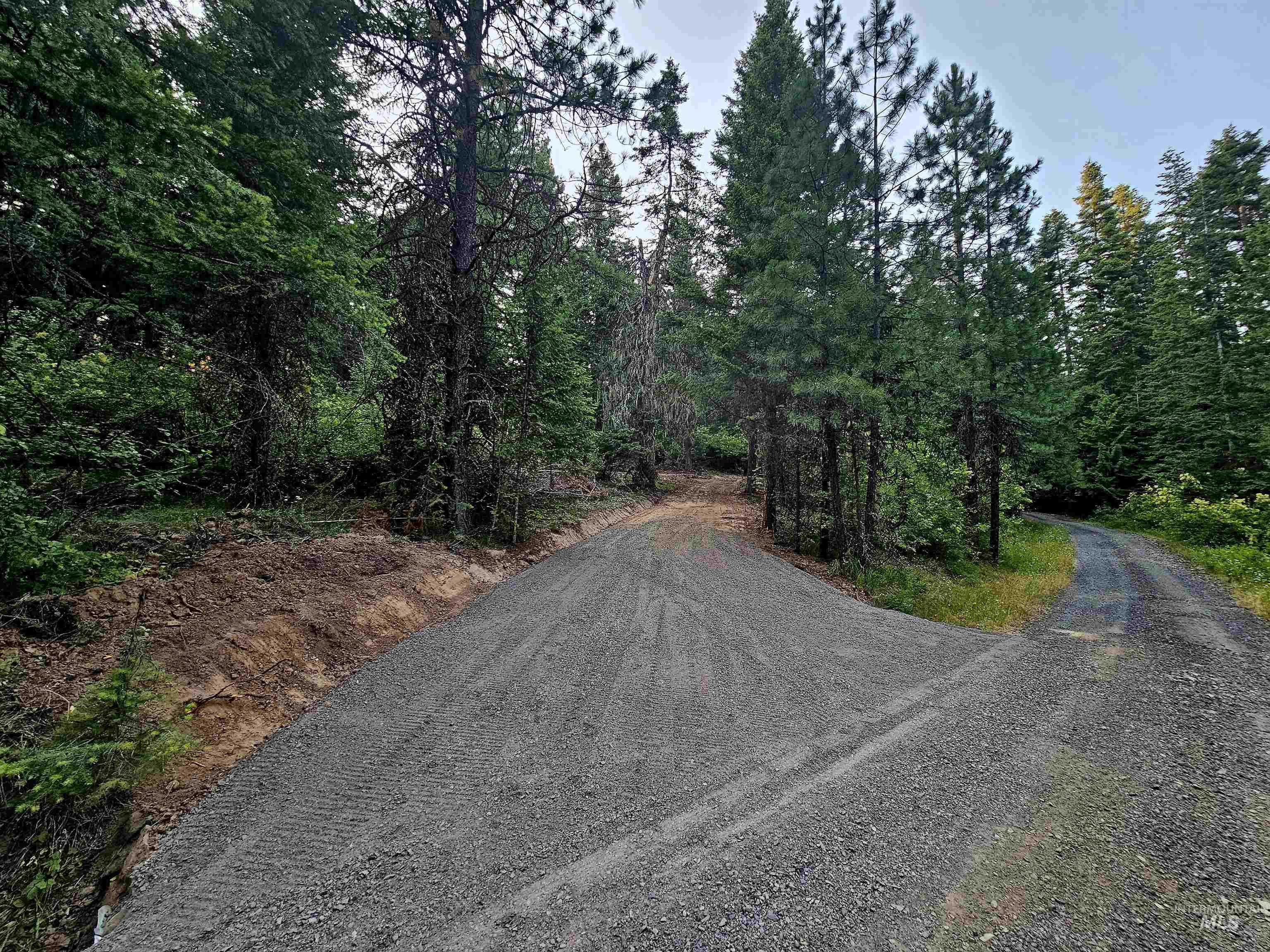 photo 2: TBD Red Willow Rd, Lot 70 Cedar Creek Subdivision, Kendrick ID 83537