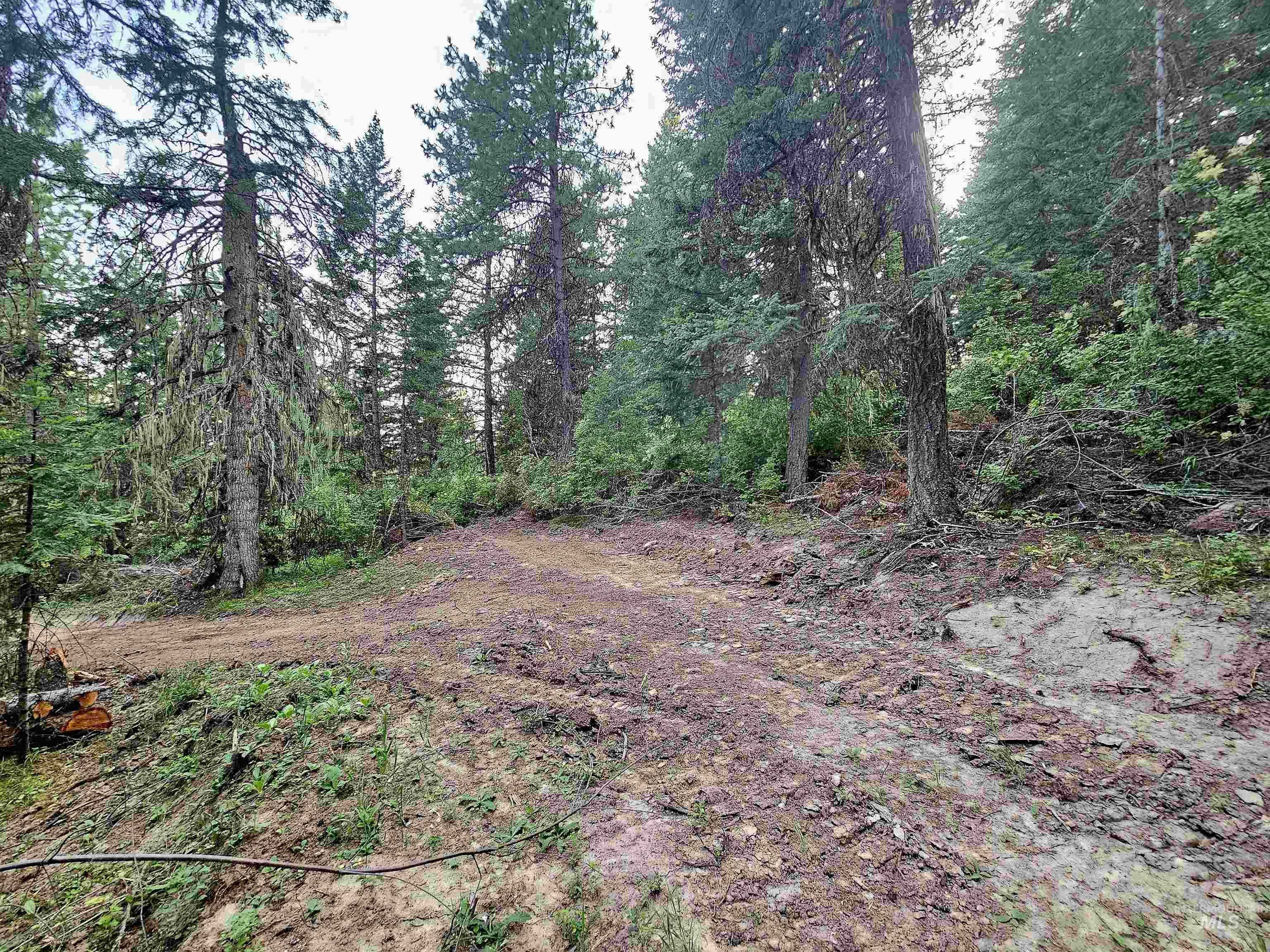 photo 3: TBD Red Willow Rd, Lot 70 Cedar Creek Subdivision, Kendrick ID 83537