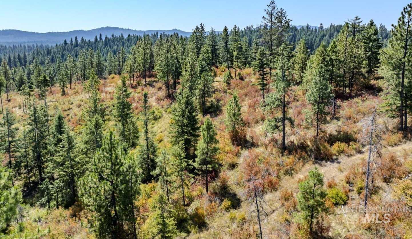 photo 1: Starview Lane Parcel 2, Princeton ID 83857