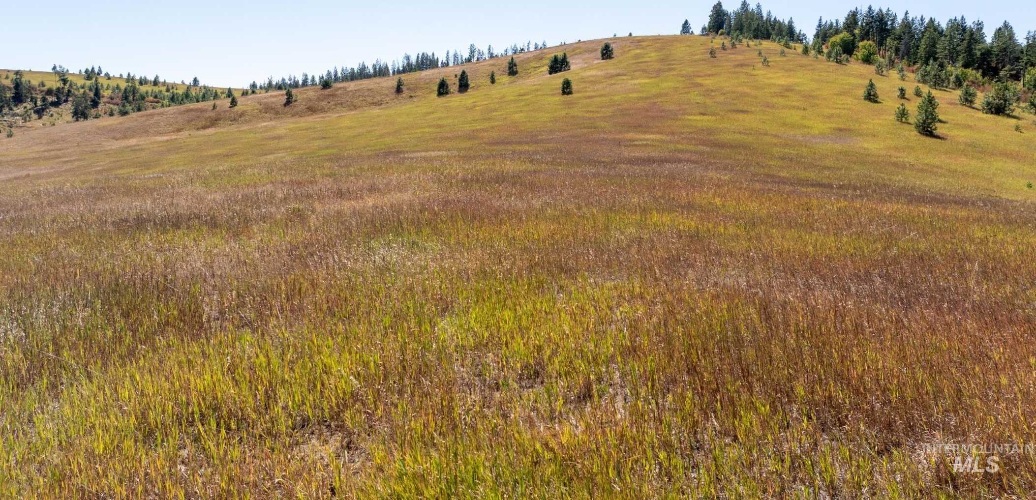 photo 3: Starview Lane Parcel 3, Princeton ID 83857