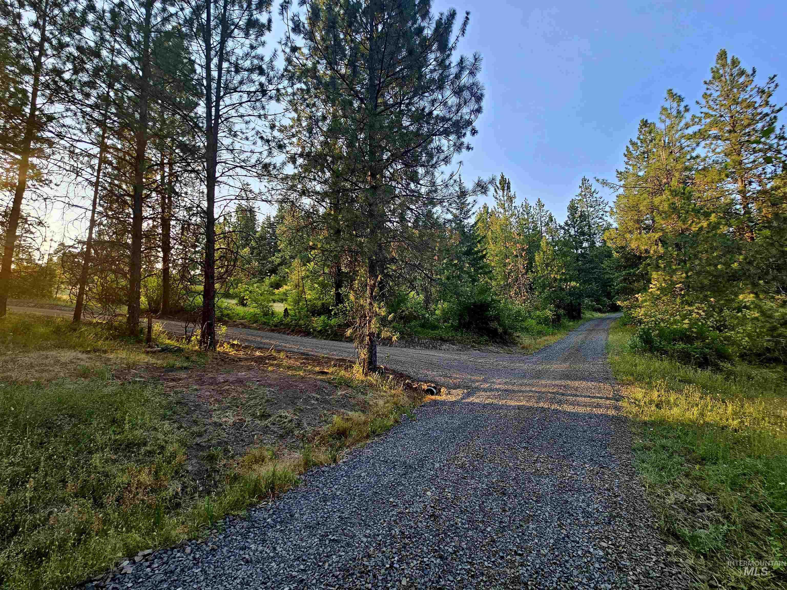 photo 2: TBD Red Willow Rd, Lot 79 Cedar Creek Subdivision, Kendrick ID 83537