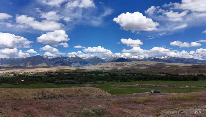 photo 5: TBD Diamond Creek Road, Salmon ID 83467