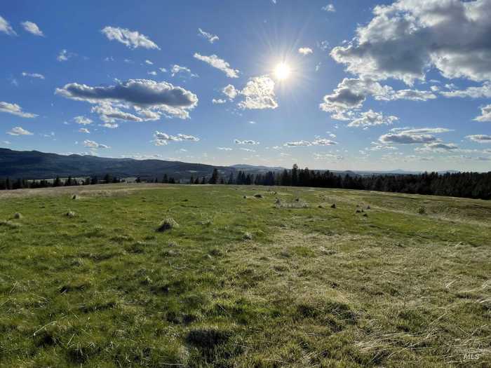 photo 1: 1204 Morris Road, Princeton ID 83857