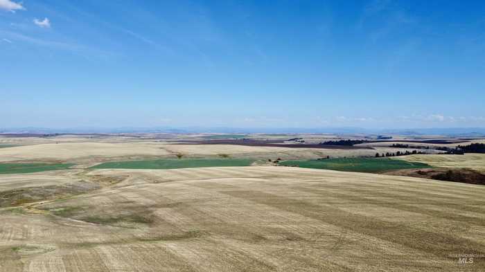 photo 2: TBD Westlake Rd (80ac), Craigmont ID 83523