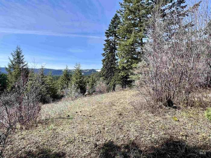 photo 2: TBD Cove Road, Grangeville ID 83530