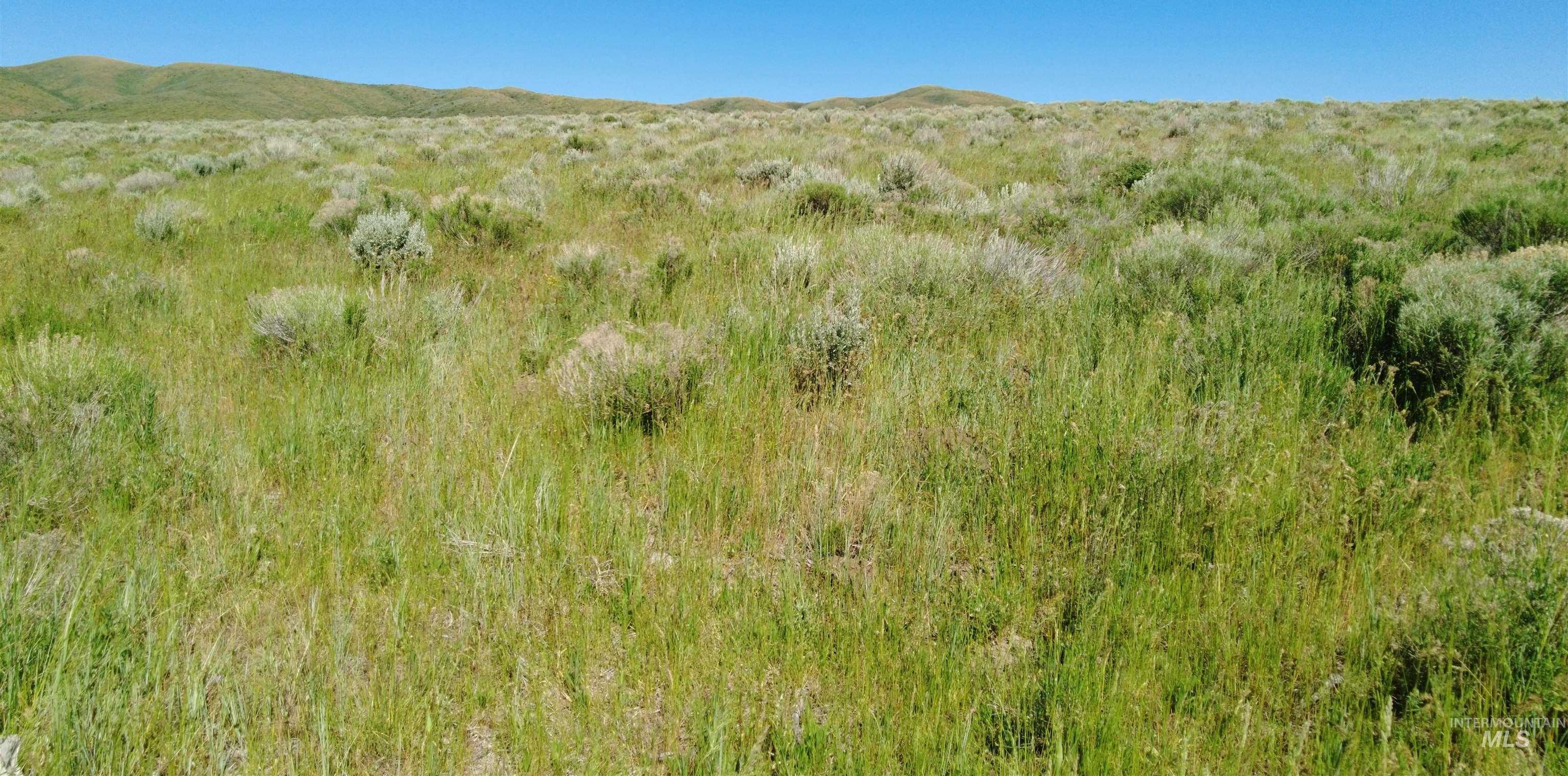 photo 3: Sublette Grazing, Malta ID 83342