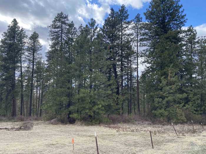 photo 1: Saddle Ridge (Parcel 1), Moscow ID 83843