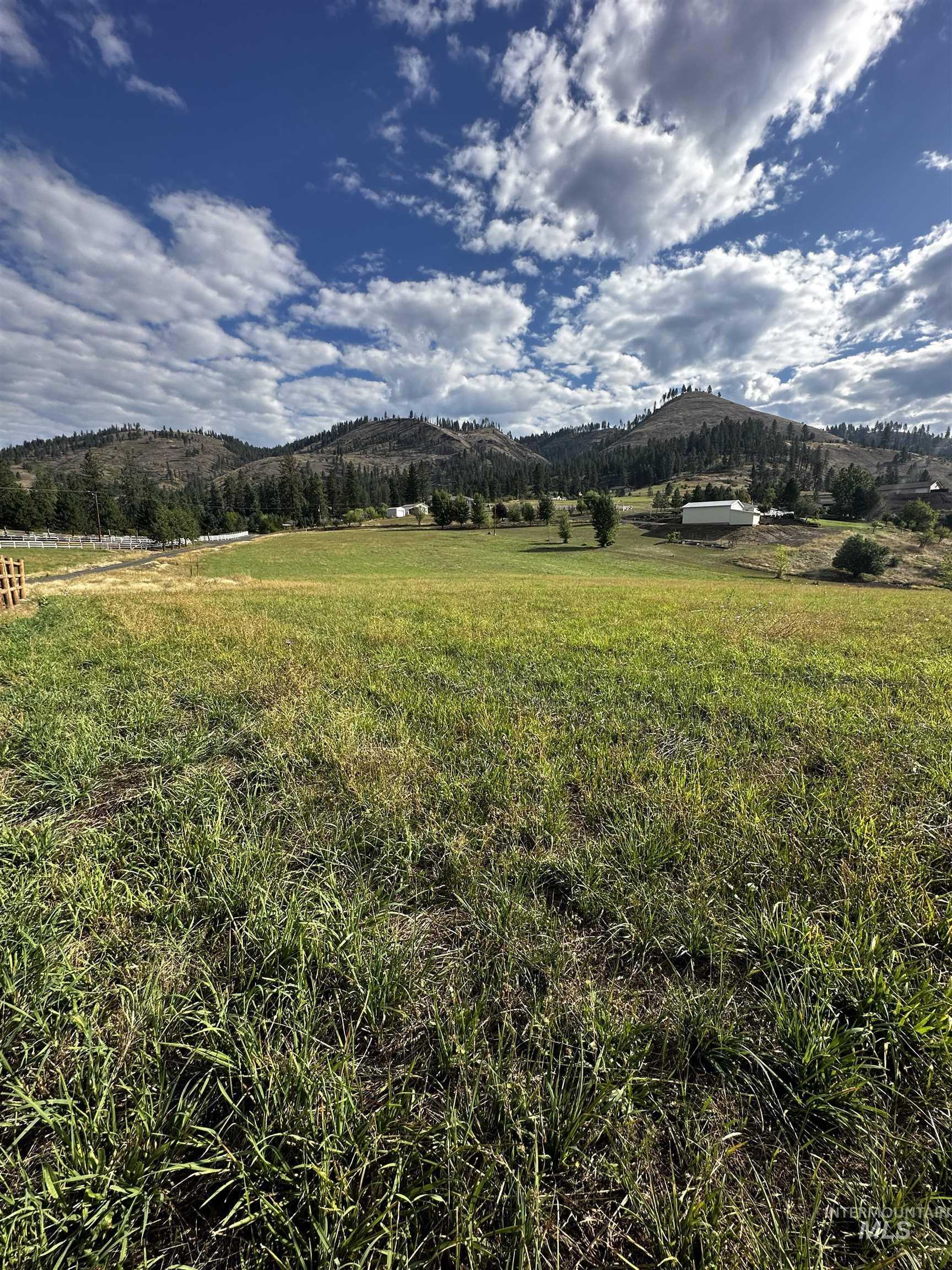 photo 3: TBD Austree Lane Lot 11, Kamiah ID 83536