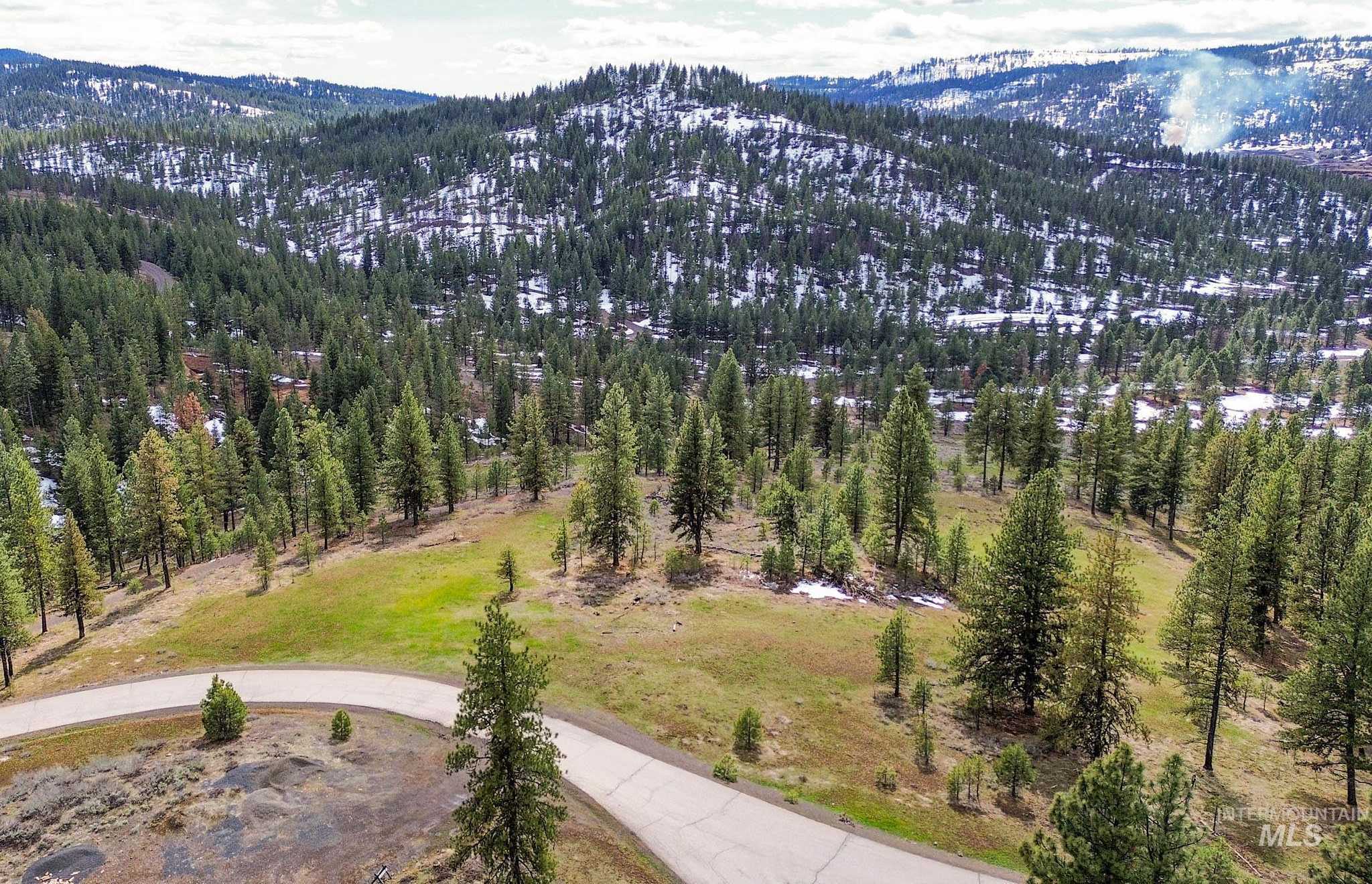 photo 3: Lot 14 Tamarack View, New Meadows ID 83654