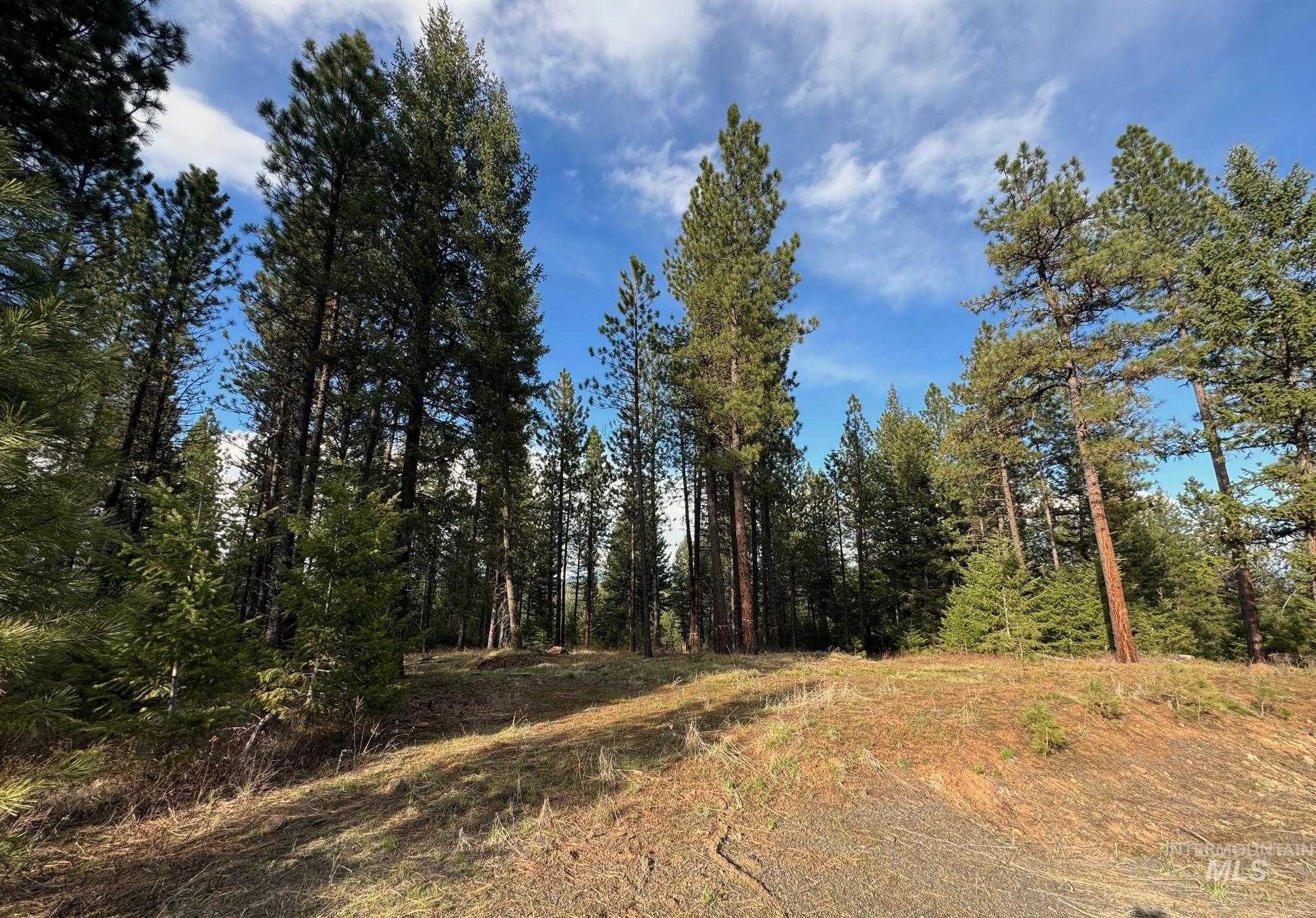 photo 1: TBD Southpine Drive, New Meadows ID 83654