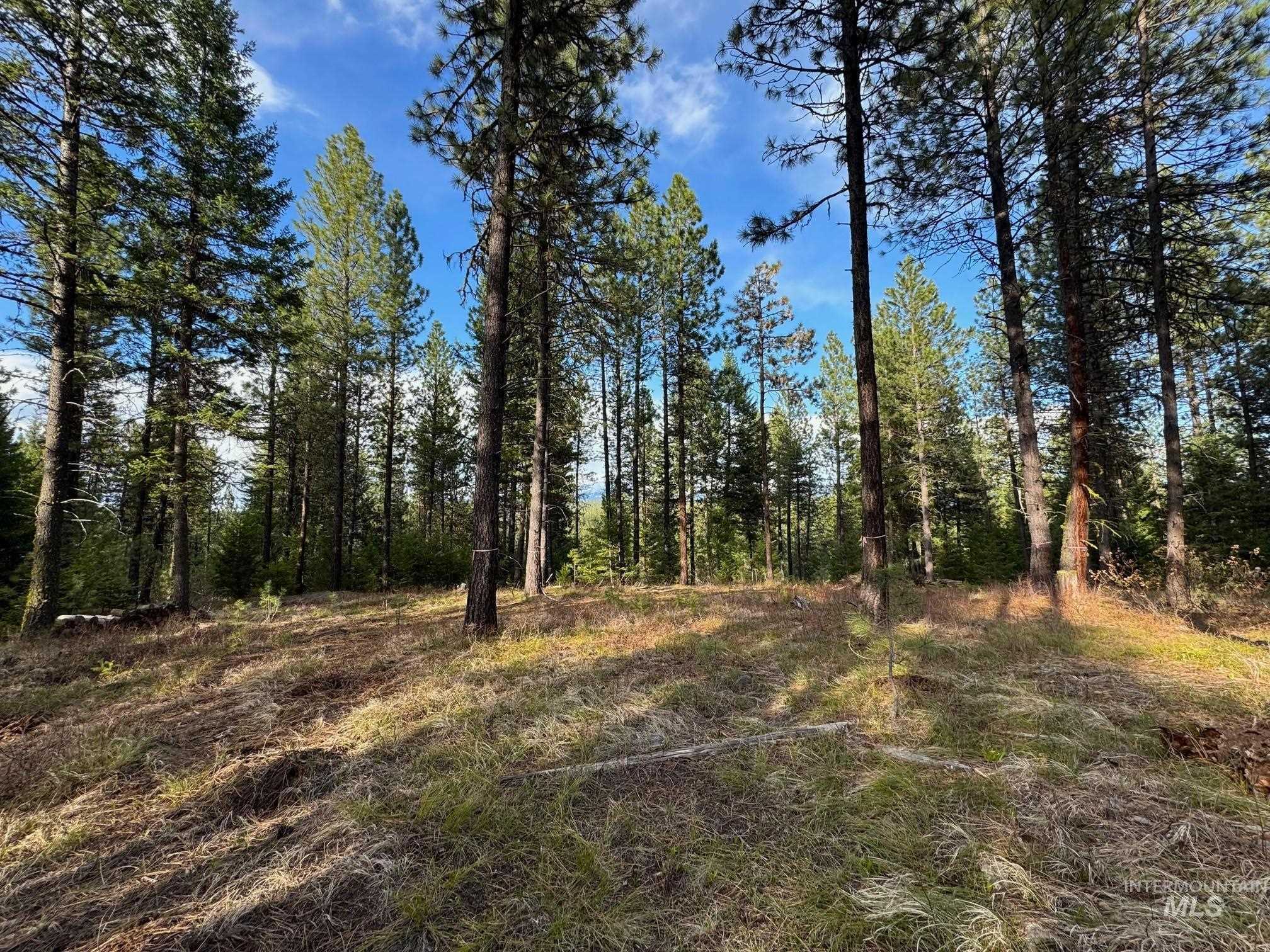 photo 2: TBD Southpine Drive, New Meadows ID 83654