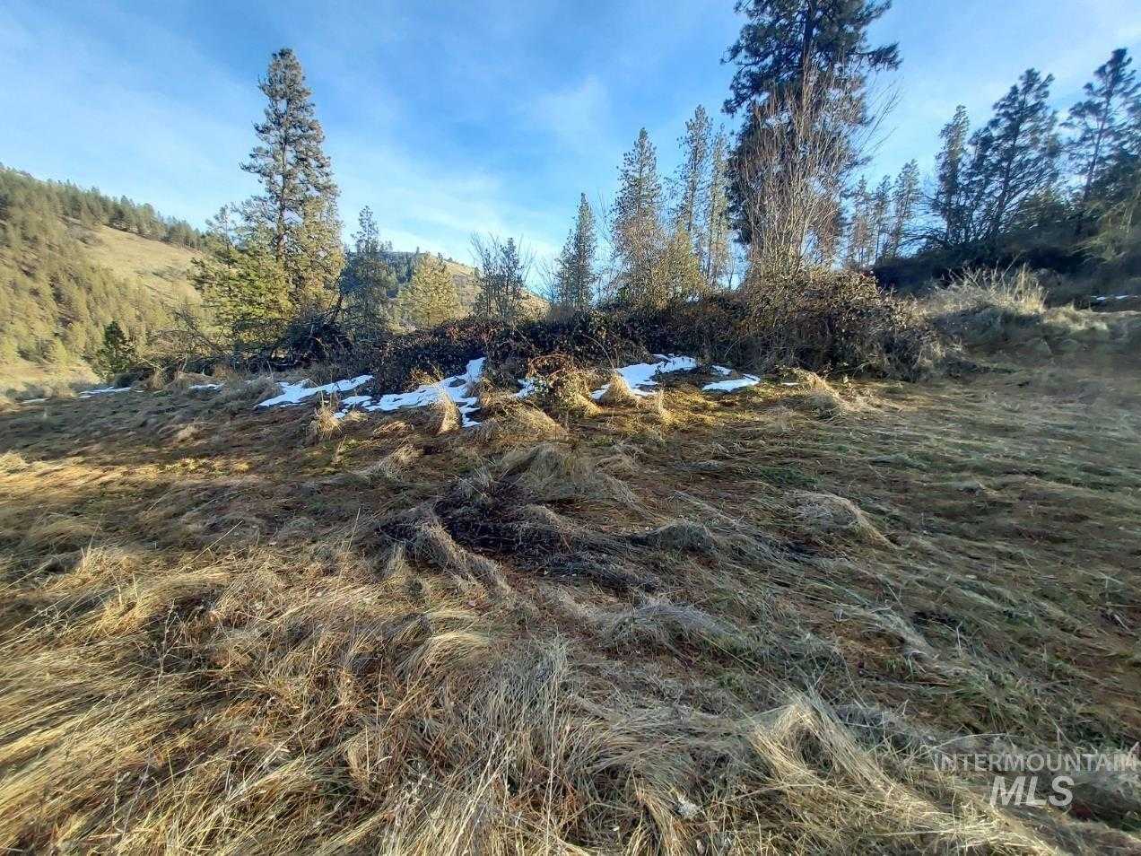 photo 3: TBD Lukes Gulch Rd, Stites ID 83552