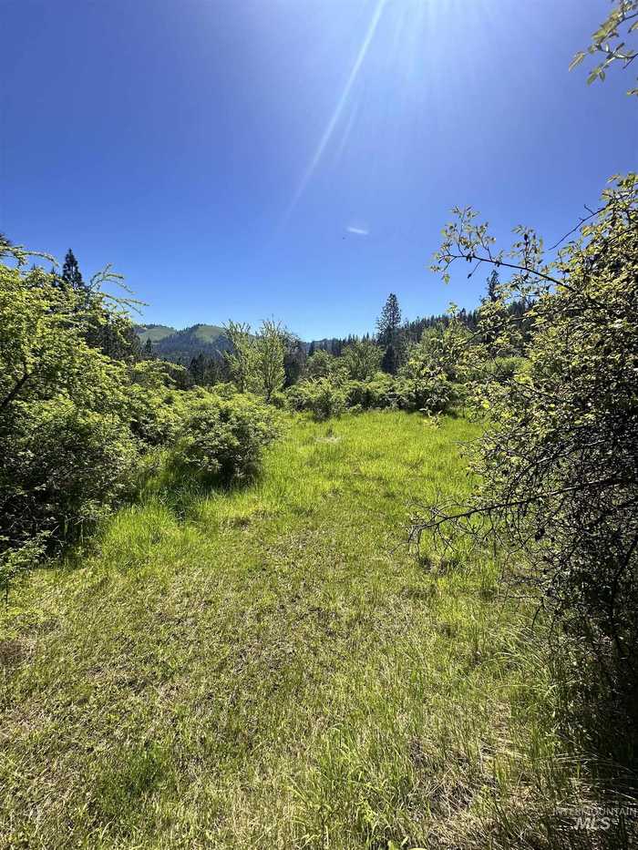 photo 2: TBD River View Lane 2.87 Ac, Kamiah ID 83536