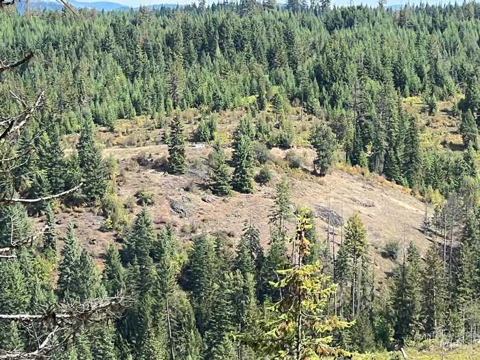 photo 1: 196 Lolo Point, Kamiah ID 83536