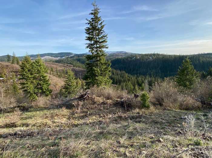 photo 2: 196 Lolo Point, Kamiah ID 83536