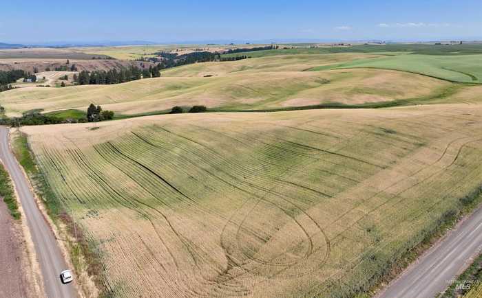 photo 22: Central Ridge Rd, Craigmont ID 83523