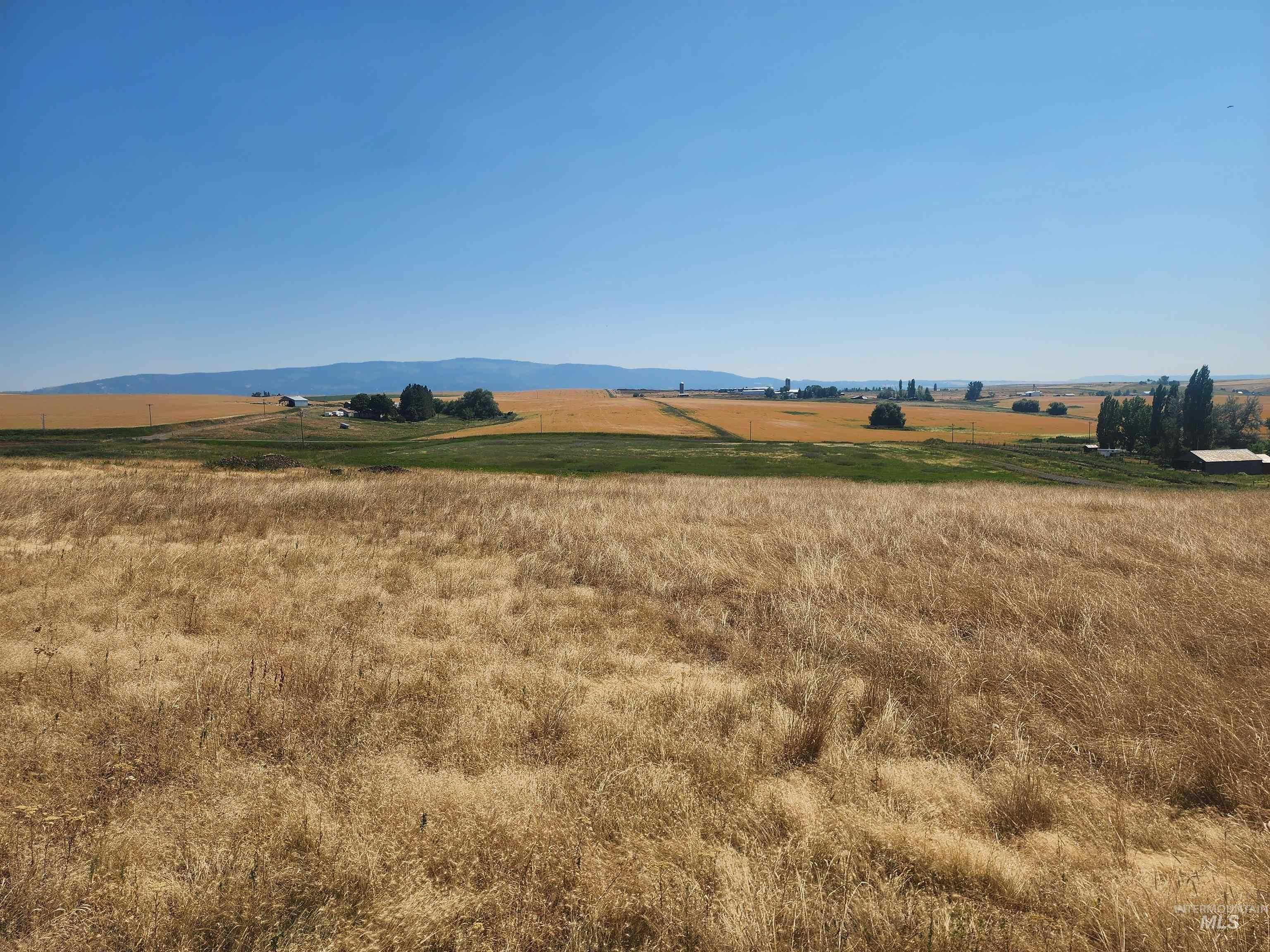 photo 1: TBD Jessup Road, Grangeville ID 83530