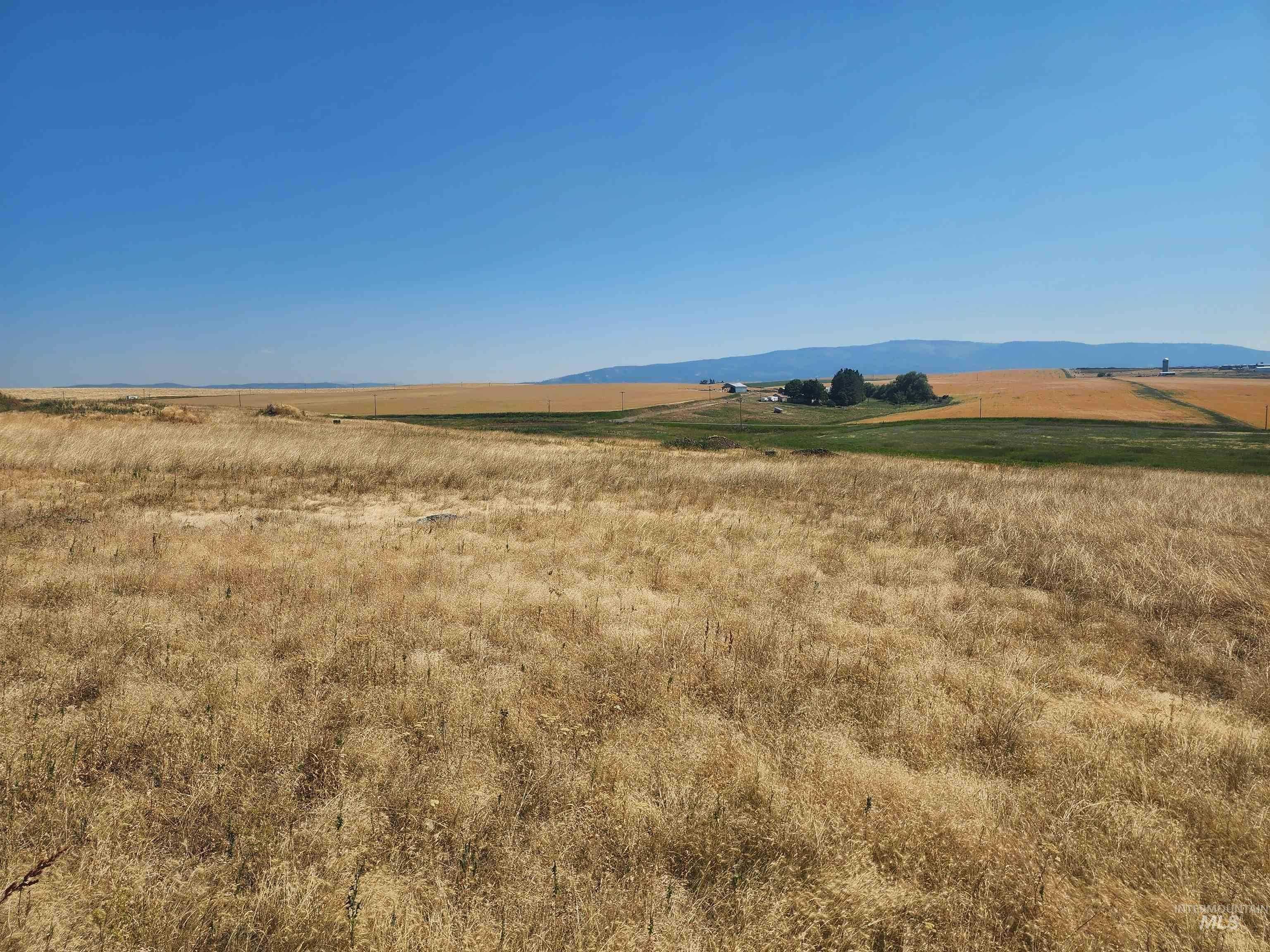 photo 3: TBD Jessup Road, Grangeville ID 83530